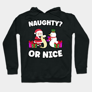 Naughty? or nice Hoodie